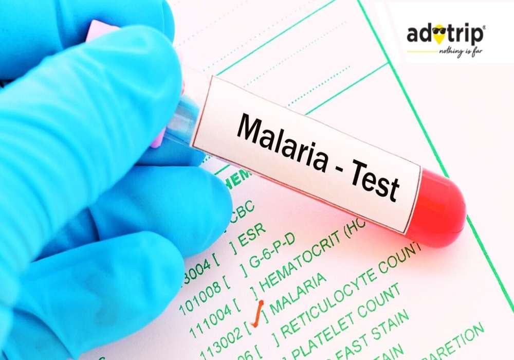 malaria-test-cost-in-india-malaria-test-price-in-india